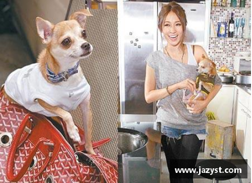 体育明星与他们宠物猫狗的趣味生活揭秘